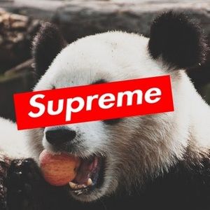 Meet your Posher, Danny